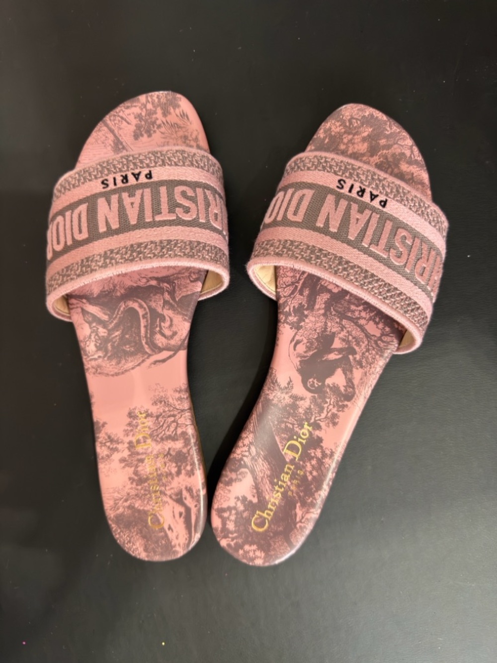 Dior Dusty Pink Toile Dway Embroidered Slide Sandals 38.5